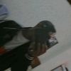 jhos_257