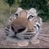 bitrng67
