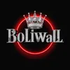 boliwall_dy