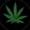 user_xm01