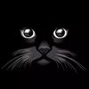 leonel.batz6
