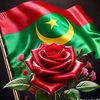 moulay.medlemin.e