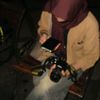adaupidisini