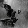 user3298761188505