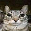 emir_esteban