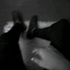 echopulse._0