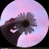 user1819981197702