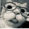 burju_random