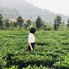 bnh.minh9024