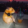 dduongdeptraiso1thegioi
