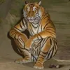 silongaming2