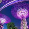 singapore.life5