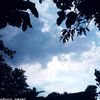 zahraina266