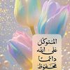 majedsehdiban