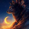 animalhdtv