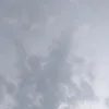 24...g