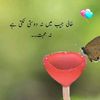 sher.aman92