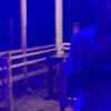samabdulajid7