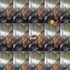 kamsari_17