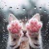 petlover977