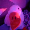 user35824748715147