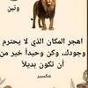 hibahobiwhayate7