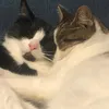 orran_123
