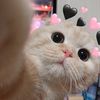 strawberrymoon_94