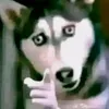 yklkhl