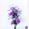 sonya.sonya16932