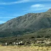 gabynete75