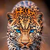 el_tigre_ct1