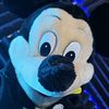 eddymouse.lavoz