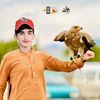 sshahzadking6