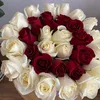 user6161719887109