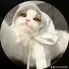 zz__vv19