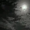 1236l7ali__