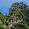 kamelbejaia61