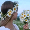 abbas.ali7386