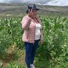 anita.qdlc