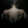 cofipb_