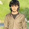 amer.garmeany