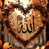 m.junaid.hussain