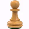 86yaptcl1lsin88