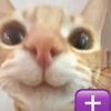fishandchipszz0