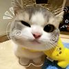 liaasukabaksoo