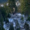 elkghost13