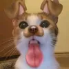 roawnk