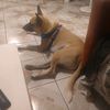 tatiana_flo2