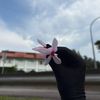 ndhalisa_
